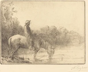 Fording a River