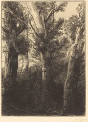 German Forest, Downley