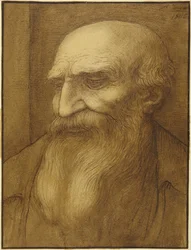 Head of Bearded Man