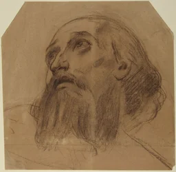 Head of Bearded Saint Looking Up
