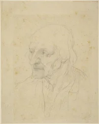 Head of an Old Man