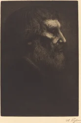 Head of a Beggar