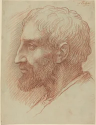 Head of a Man