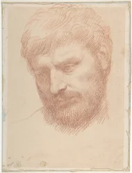 Head of a Man