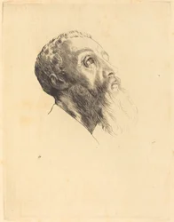 Head of a Model