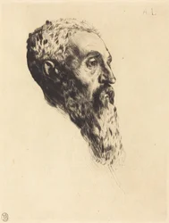 Head of a Model