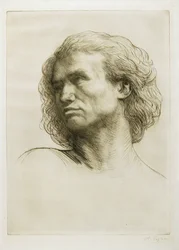 Head of a Model
