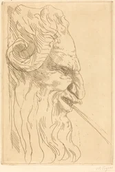 Head of a Satyr