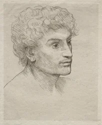 Head of a Young Man