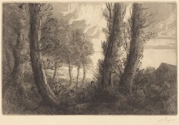 Landscape