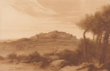 Landscape