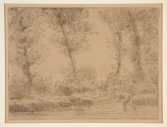 The Banks of the Liane