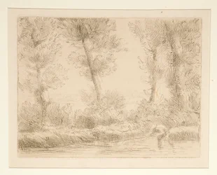 The Banks of the Liane