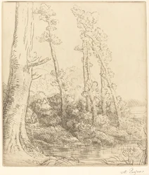 Little Pond