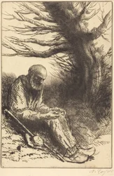 Old Man, Old Tree