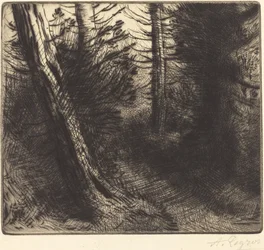 Path through the Woods