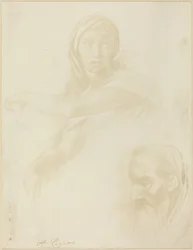 Study of Delphic Sibyl, Head of a Man