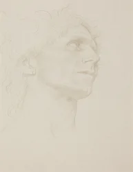 Study of Woman