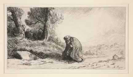 The Wayfarer