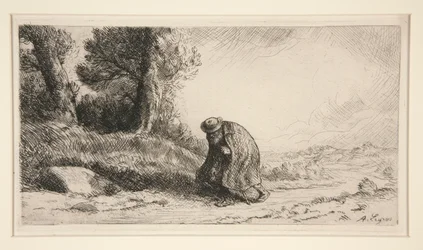 The Wayfarer