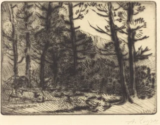 Woods in Winter Sun, 2nd plate