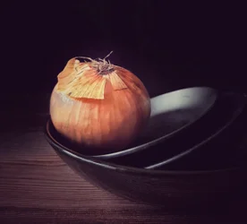 Rustic Onion Kitchen