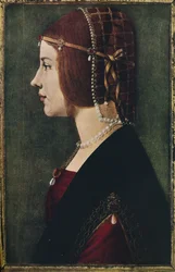 Portrait of a Young Girl