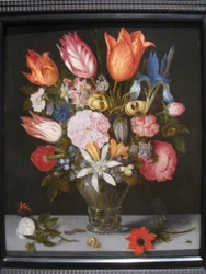 Flowers in a Glass