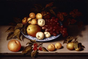 Peaches, Apples, Apricots and Grapes in a Wanli Kraak Porselein Bowl with Cherries, pears, Apricots and an Apple on a Ledge