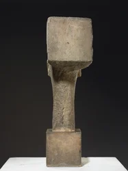 Head