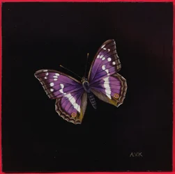 Purple Emperor Butterfly