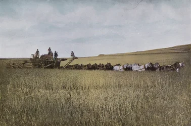 Oregon: Threshing in Eastern Oregon