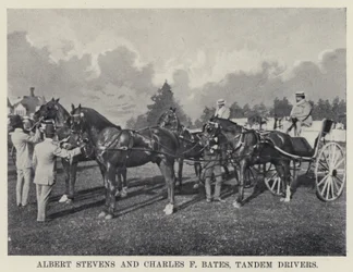 Albert Stevens and Charles F Bates, Tandem Drivers