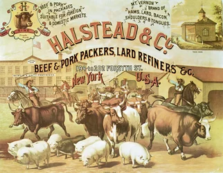 Beef & Pork Packers