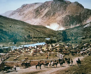 Cattle Ranch, Colorado