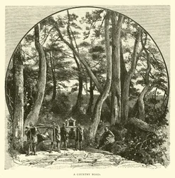 A Country road