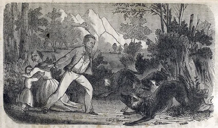 A man standing in front of a woman and child fighting off dogs
