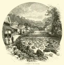 A street in the suburbs