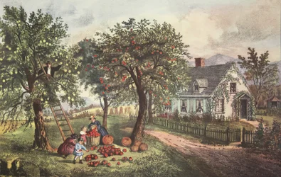 American Homestead - Autumn