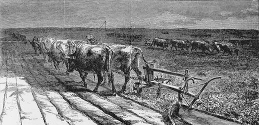 Breaking the Prairie, illustration from 