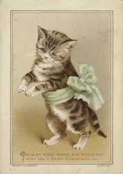Cat Wearing Green Bow
