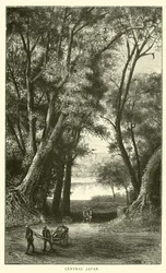 Central Japan