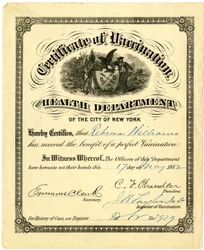 Certificate of Vaccination, the Health Department of the City of New York..., 1882