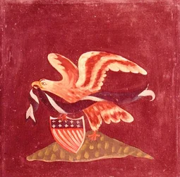 Eagle with American Shield