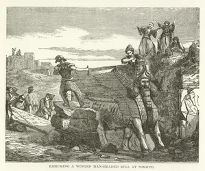 Exhuming a Winged Man-Headed Bull at Nimrud