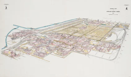 General View of Chicago Stock Yards