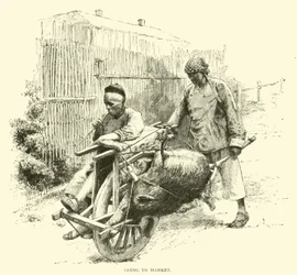 Going to market
