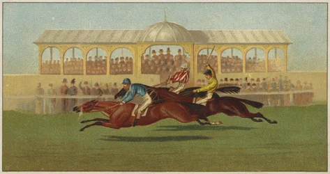 Horse Racing Past the Stands