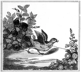 Illustration from the Remarkable Story of Chicken Little, 1840