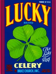 Lucky Brand Celery Fruit Crate Label